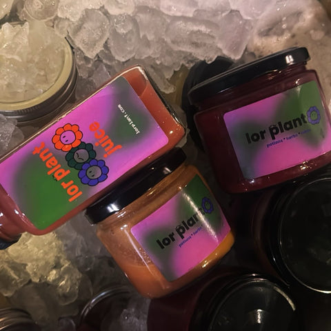Berry Beri Fruit Sea Moss Gel
