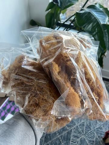 Golden Sea Moss (Dried)